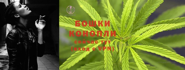 молекула духа Богданович