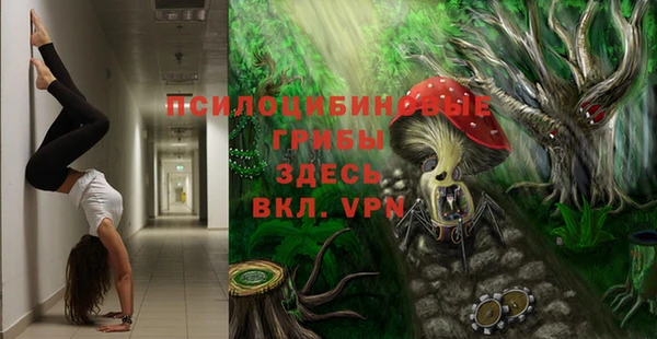 герыч Богородск