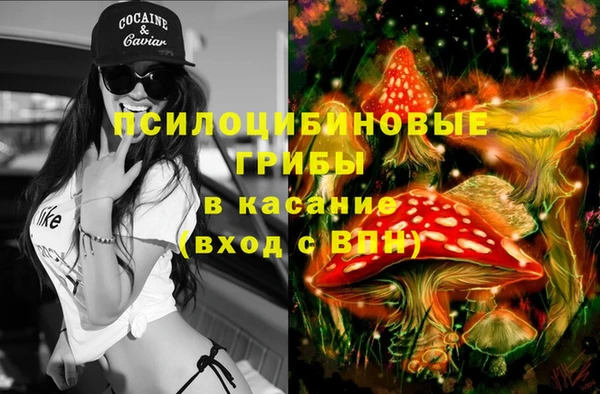 прущие крисы Бугульма