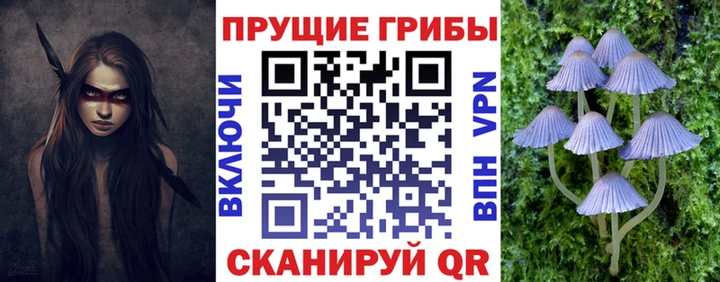 где купить наркоту  Дигора  кракен онион  Галлюциногенные грибы GOLDEN TEACHER 