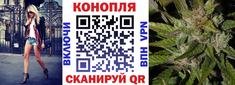 Марихуана сатива  hydra зеркало  Дигора 